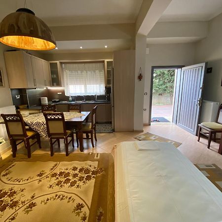 Vila Violeta 1 Vlorë エクステリア 写真